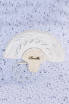 personalized wedding fans